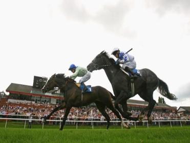 http://betting.betfair.com/horse-racing/ponte%20stands.jpg